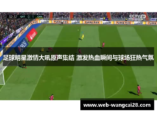 足球明星激情大吼原声集结 激发热血瞬间与球场狂热气氛 足球明星激情大吼原声集结 激发热血瞬间与球场狂热气氛