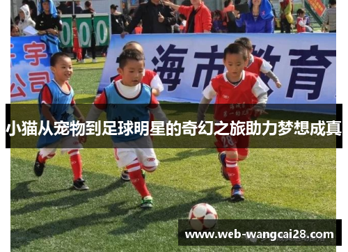小猫从宠物到足球明星的奇幻之旅助力梦想成真 小猫从宠物到足球明星的奇幻之旅助力梦想成真