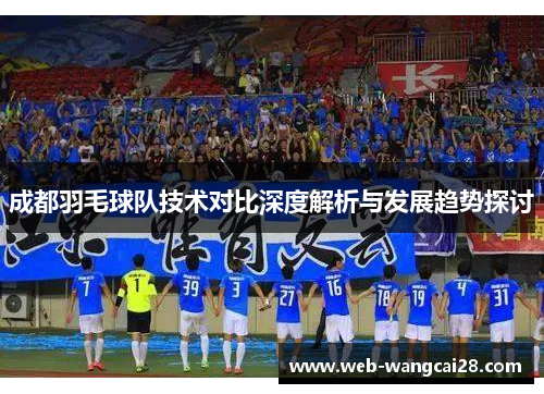 成都羽毛球队技术对比深度解析与发展趋势探讨