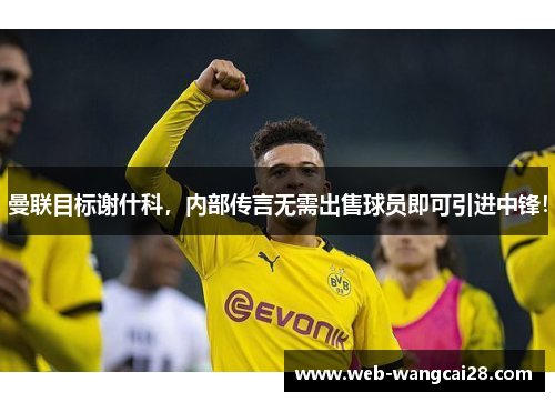 曼联目标谢什科,内部传言无需出售球员即可引进中锋! 曼联目标谢什科,内部传言无需出售球员即可引进中锋!